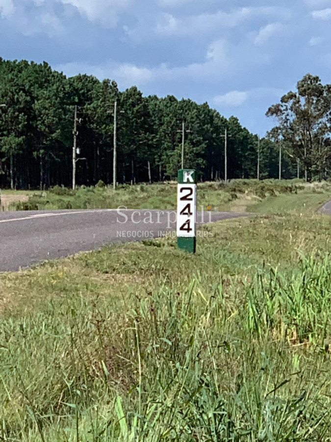 Terreno ID.23847 - Pueblo Nuevo, Km. 244 Ruta 10  Muy Próximo a Cabo Polonio. Con el Mejor Océano del Uruguay frente a Ud. !