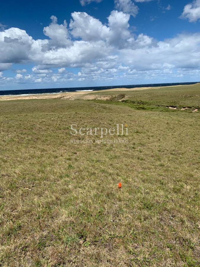 Terreno ID.23847 - Pueblo Nuevo, Km. 244 Ruta 10  Muy Próximo a Cabo Polonio. Con el Mejor Océano del Uruguay frente a Ud. !