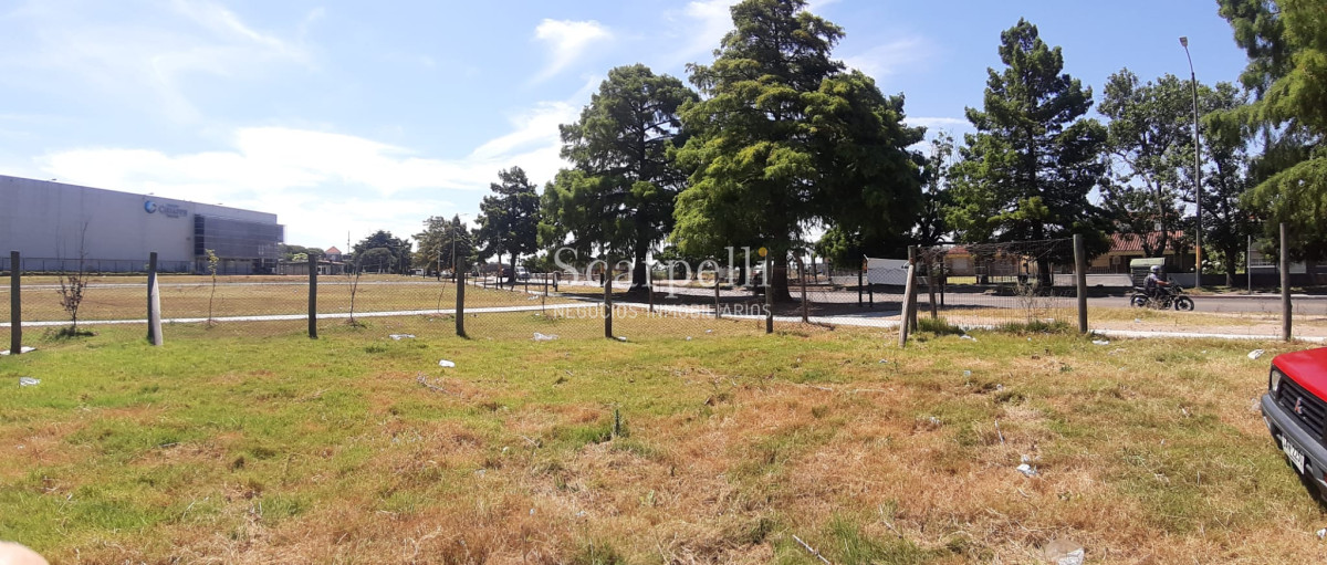 Terreno ID.27400 - Terreno sobre Cno. Carrasco prox. Zum Felde  Ideal Desarrollo Comercial / Industrial.-