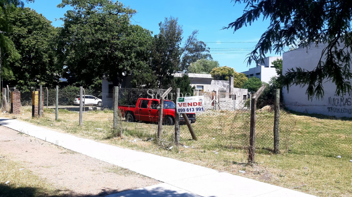 Terreno ID.27400 - Terreno sobre Cno. Carrasco prox. Zum Felde  Ideal Desarrollo Comercial / Industrial.-