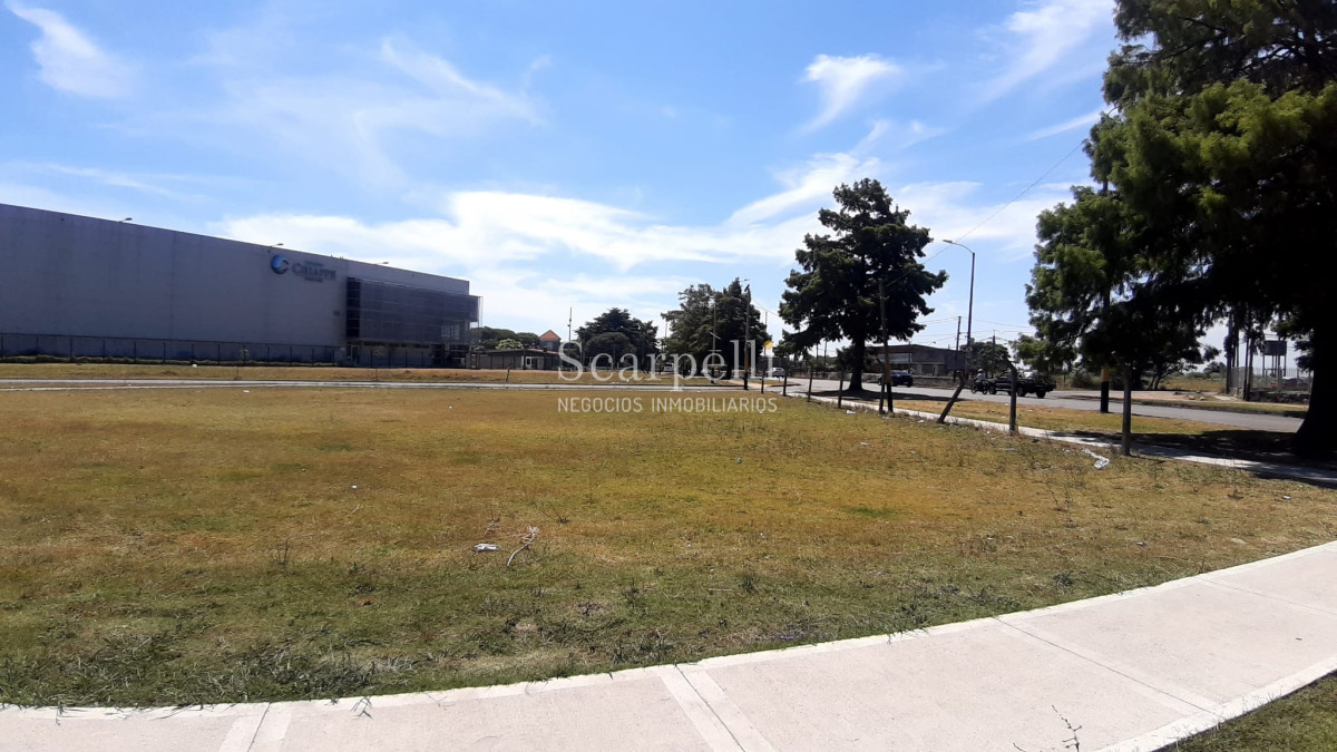 Terreno ID.27400 - Terreno sobre Cno. Carrasco prox. Zum Felde  Ideal Desarrollo Comercial / Industrial.-