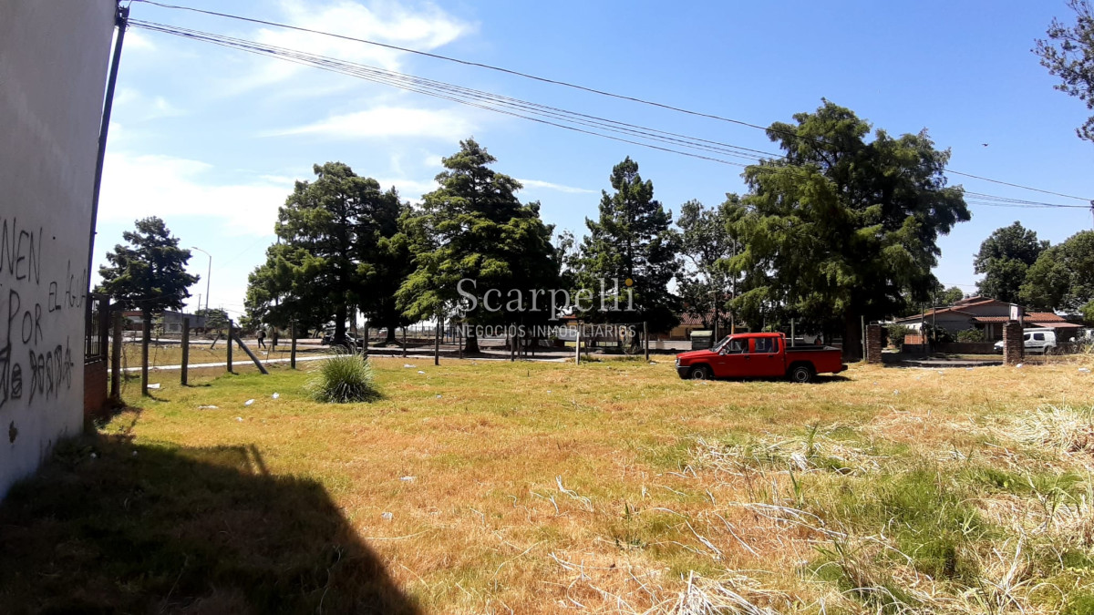 Terreno ID.27400 - Terreno sobre Cno. Carrasco prox. Zum Felde  Ideal Desarrollo Comercial / Industrial.-