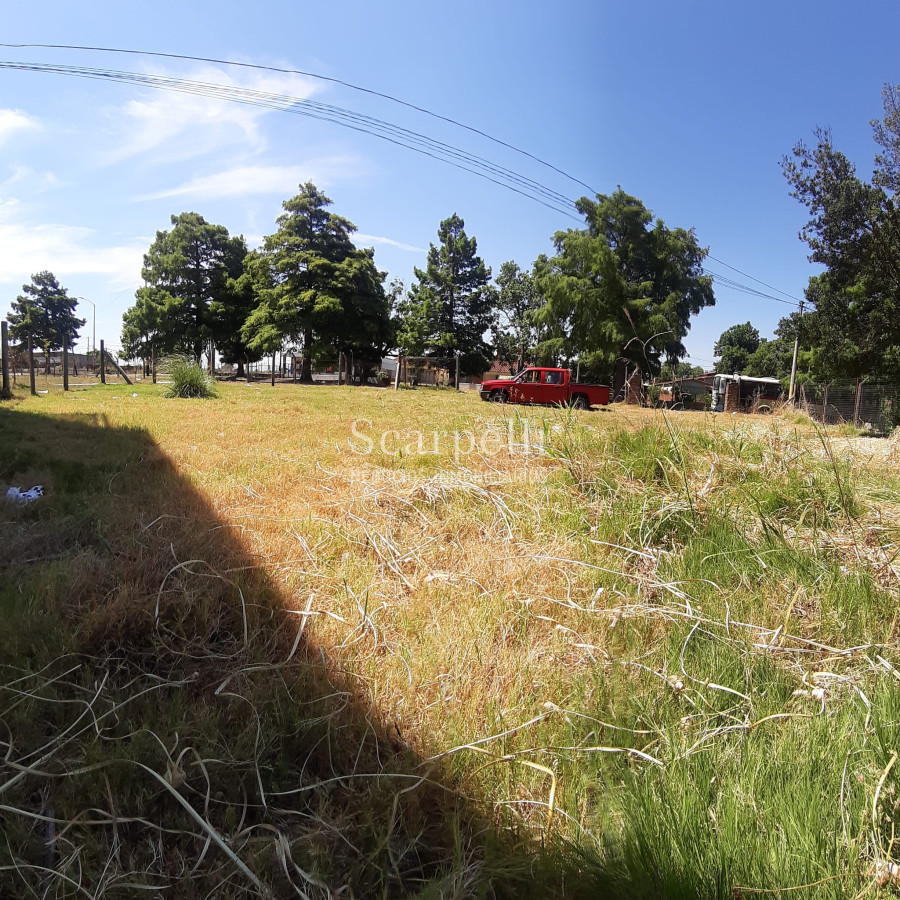 Terreno ID.27400 - Terreno sobre Cno. Carrasco prox. Zum Felde  Ideal Desarrollo Comercial / Industrial.-