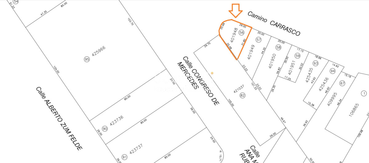 Terreno ID.27400 - Terreno sobre Cno. Carrasco prox. Zum Felde  Ideal Desarrollo Comercial / Industrial.-