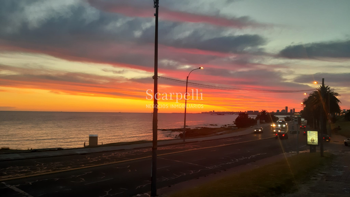 Terreno ID.33982 - VENTA TERRENO PUNTA GORDA FRENTE AL MAR CON ALTURA