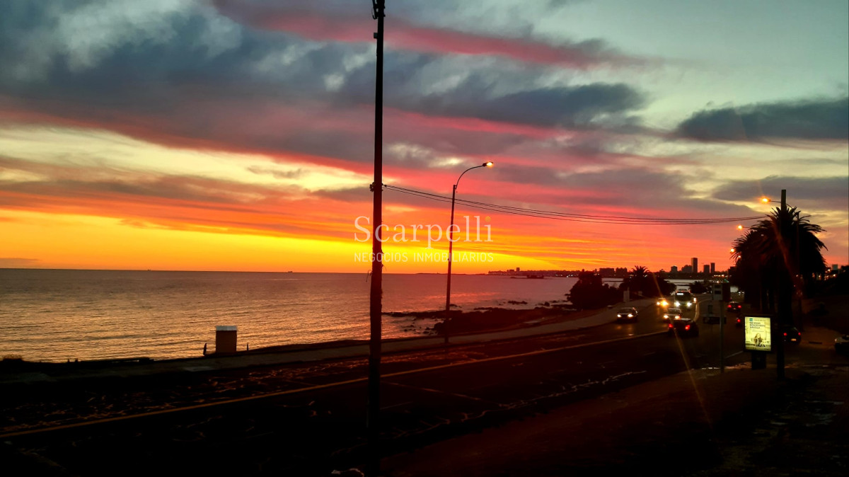 Terreno ID.33982 - VENTA TERRENO PUNTA GORDA FRENTE AL MAR CON ALTURA