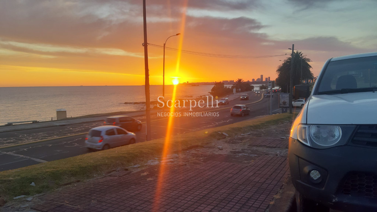 Terreno ID.33982 - VENTA TERRENO PUNTA GORDA FRENTE AL MAR CON ALTURA