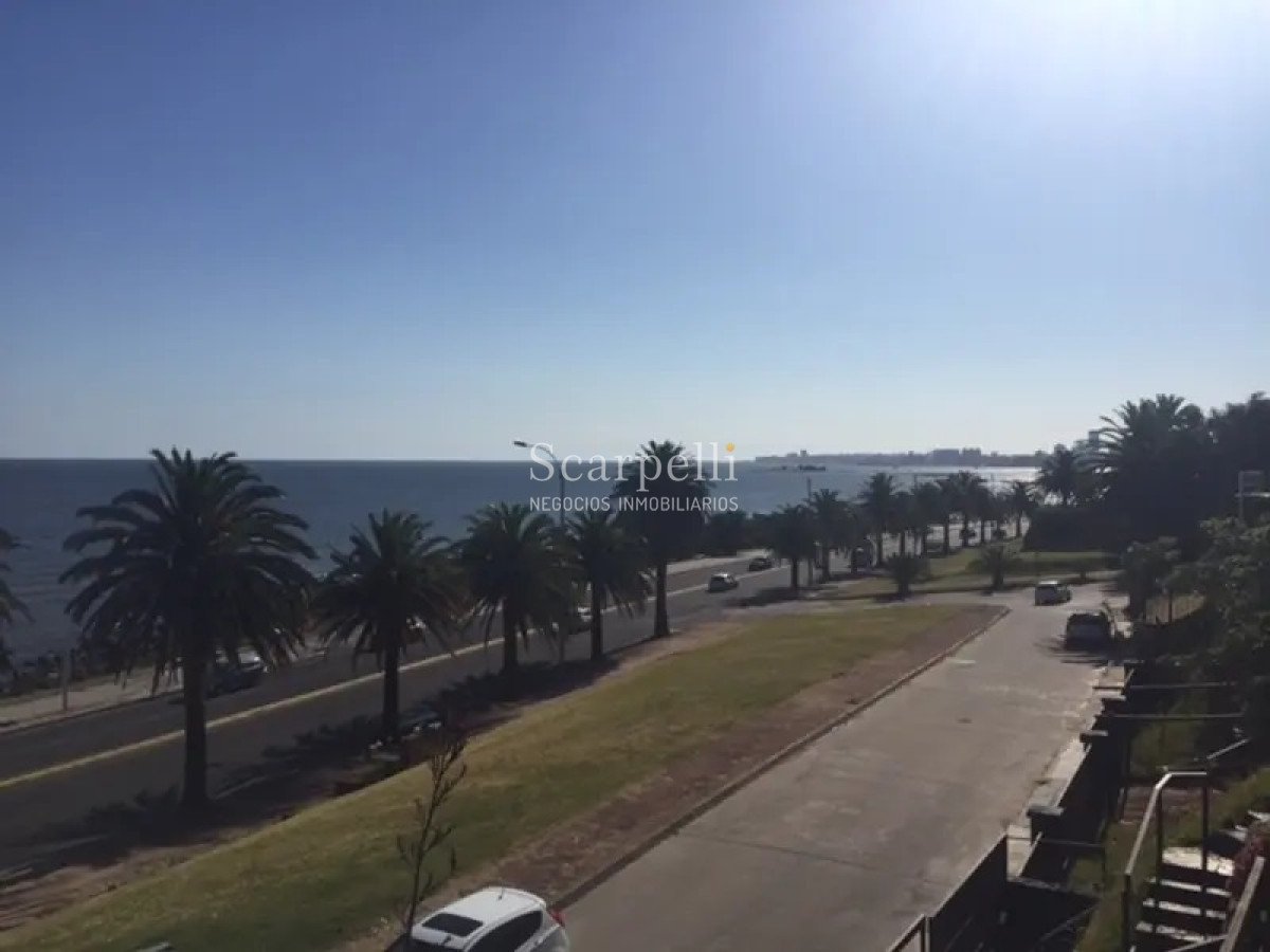 Terreno ID.33982 - VENTA TERRENO PUNTA GORDA FRENTE AL MAR CON ALTURA