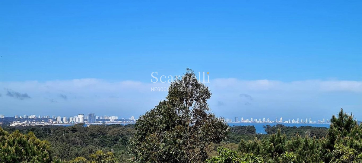 Terreno ID.34580 - VENTA TERRENO MALDONADO PUNTA BALLENA
