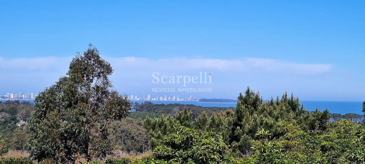 Terreno ID.34580 - VENTA TERRENO MALDONADO PUNTA BALLENA