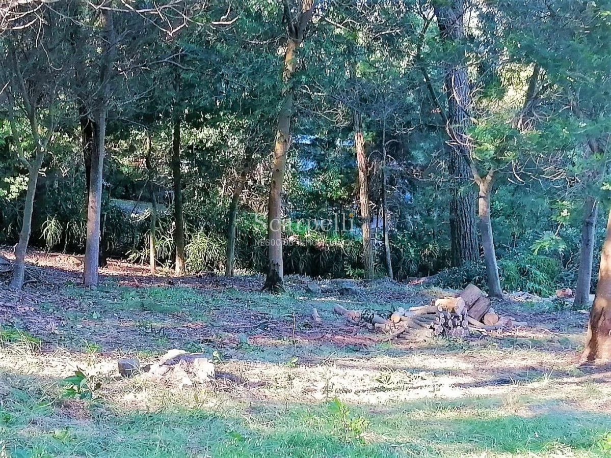 Terreno ID.34580 - VENTA TERRENO MALDONADO PUNTA BALLENA
