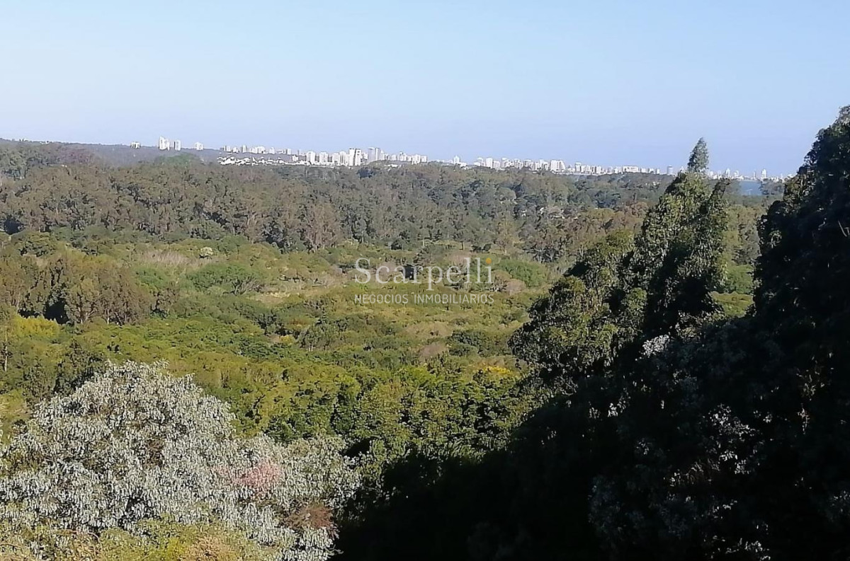 Terreno ID.34580 - VENTA TERRENO MALDONADO PUNTA BALLENA