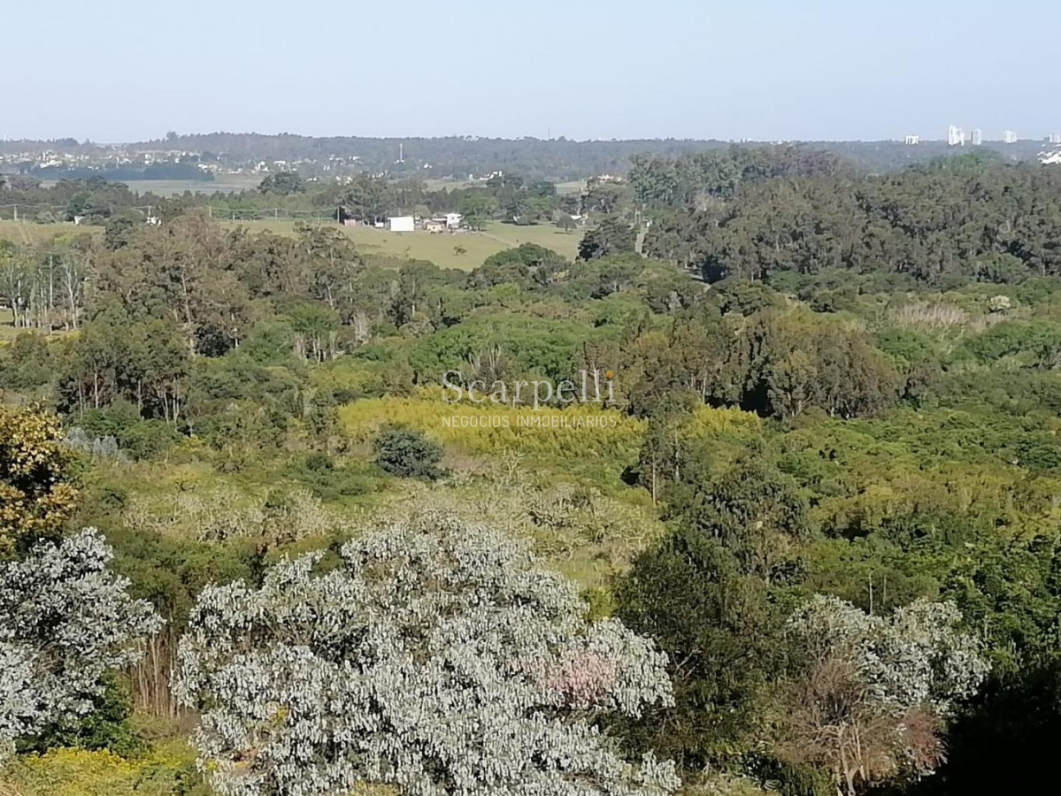 Terreno ID.34580 - VENTA TERRENO MALDONADO PUNTA BALLENA