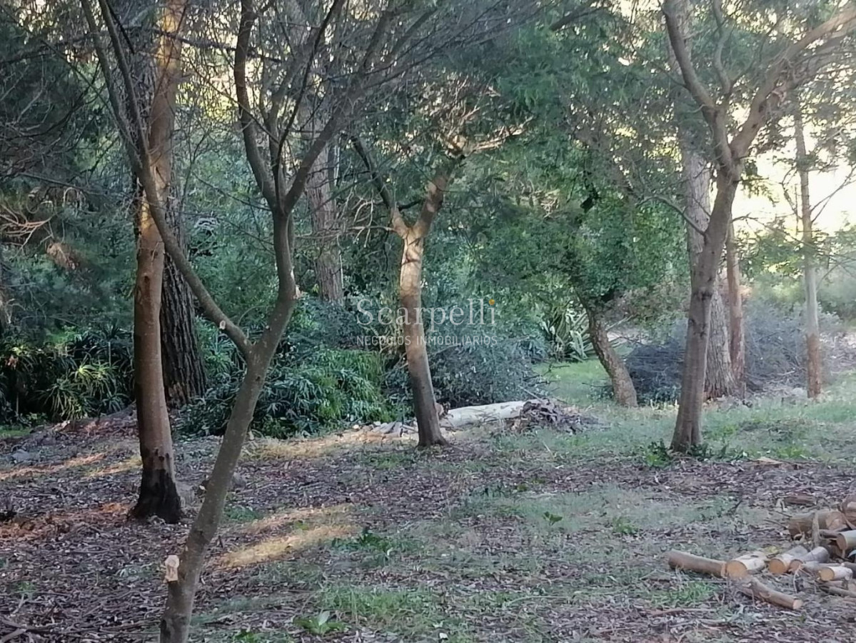 Terreno ID.34580 - VENTA TERRENO MALDONADO PUNTA BALLENA