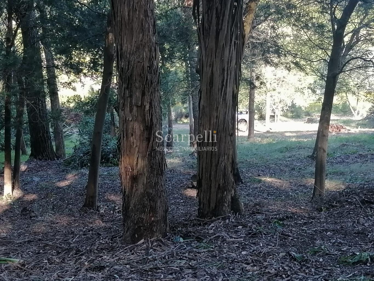 Terreno ID.34580 - VENTA TERRENO MALDONADO PUNTA BALLENA
