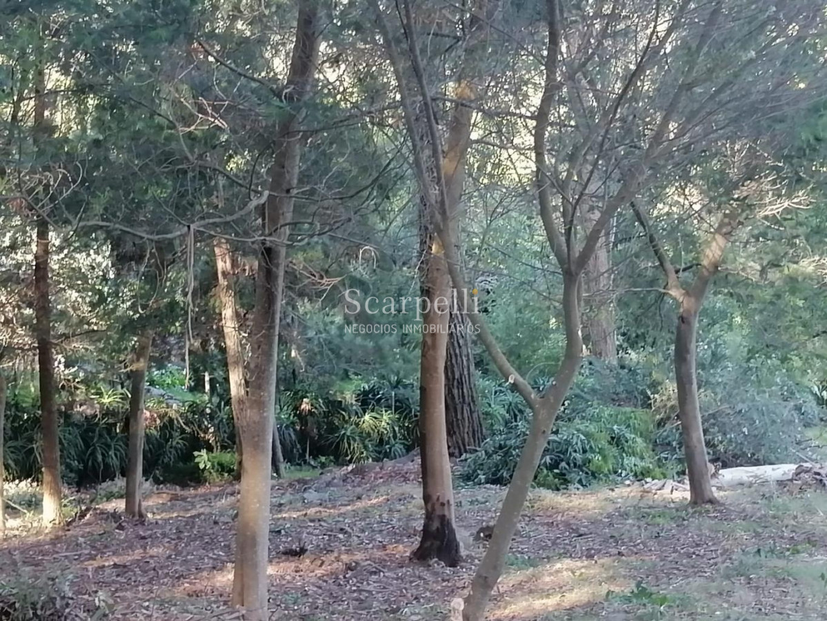 Terreno ID.34580 - VENTA TERRENO MALDONADO PUNTA BALLENA