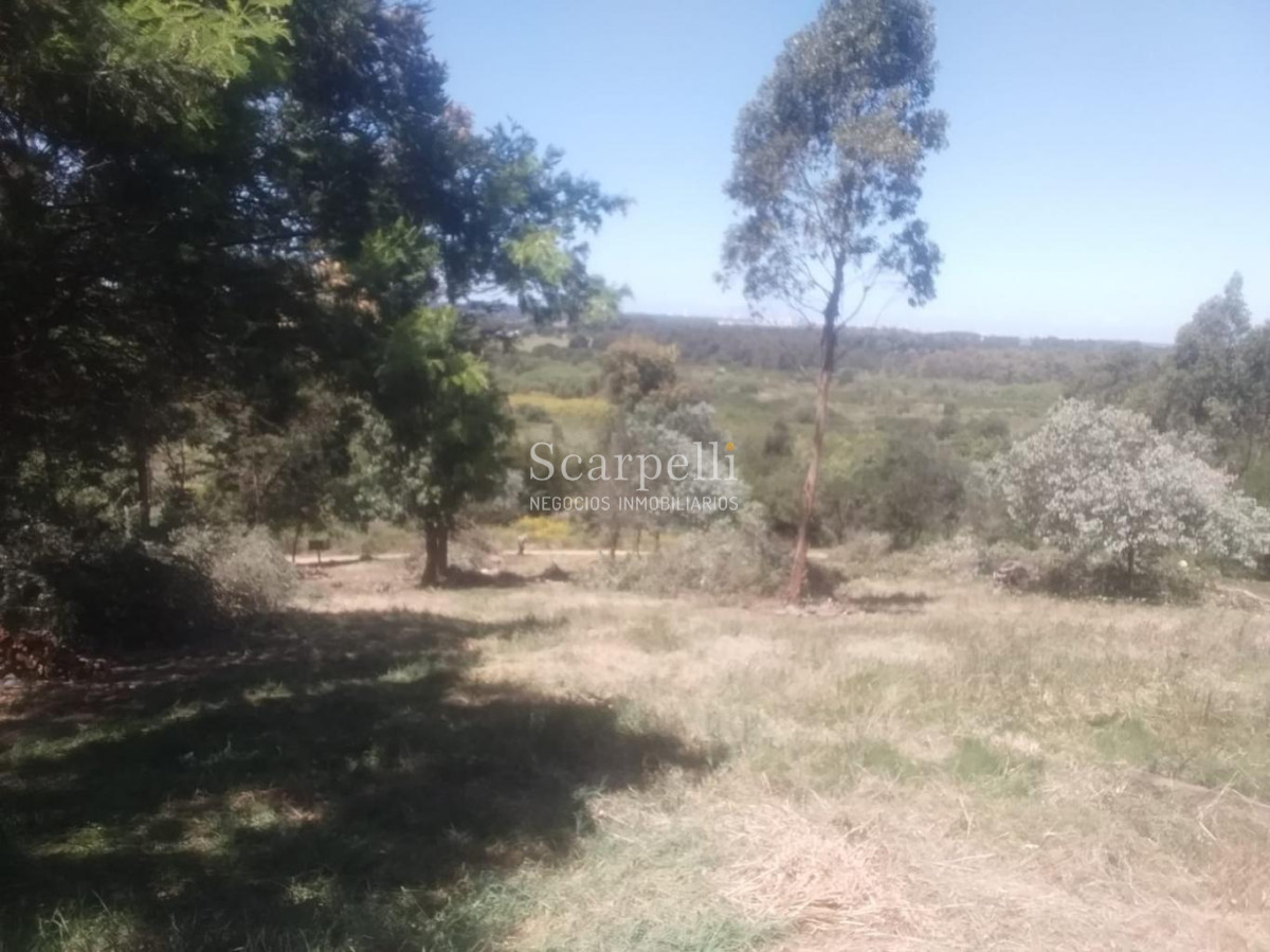 Terreno ID.34580 - VENTA TERRENO MALDONADO PUNTA BALLENA