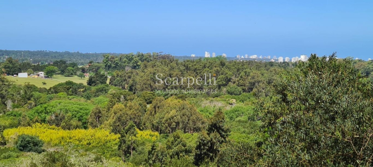 Terreno ID.34580 - VENTA TERRENO MALDONADO PUNTA BALLENA