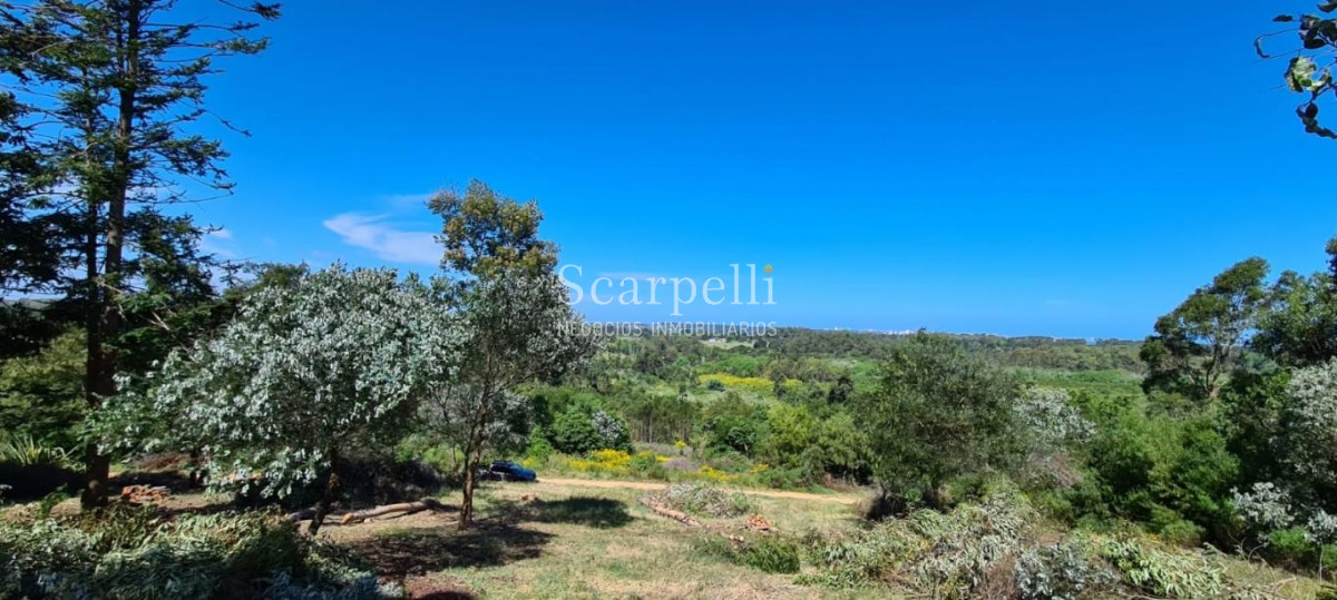 Terreno ID.34580 - VENTA TERRENO MALDONADO PUNTA BALLENA