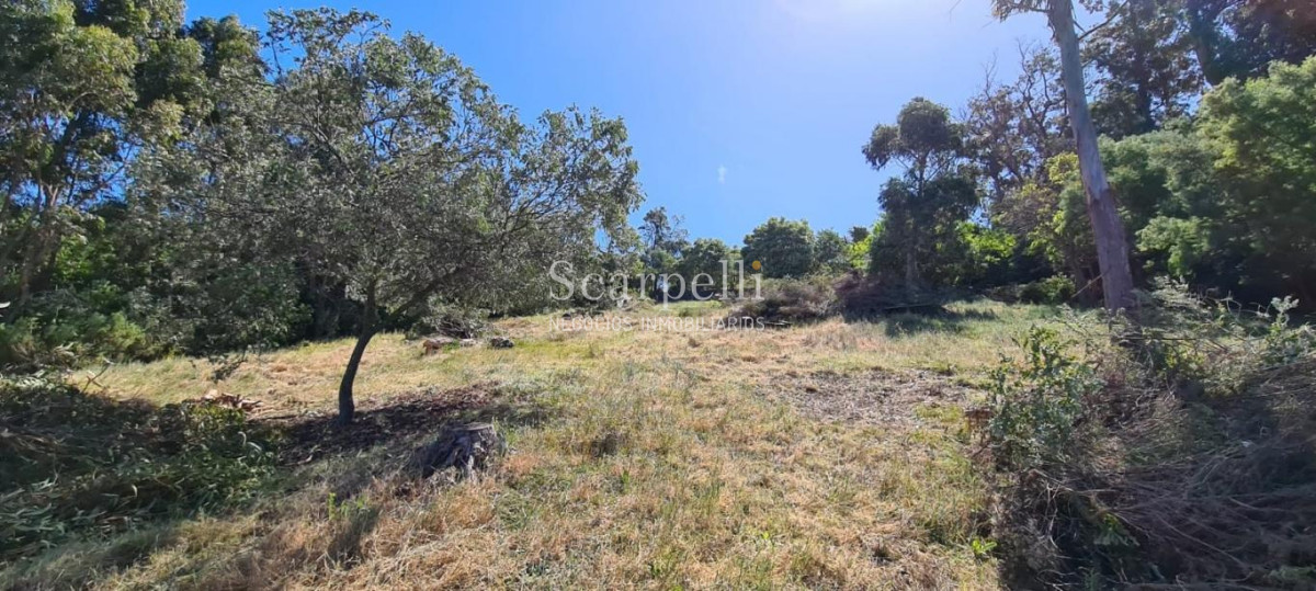 Terreno ID.34580 - VENTA TERRENO MALDONADO PUNTA BALLENA