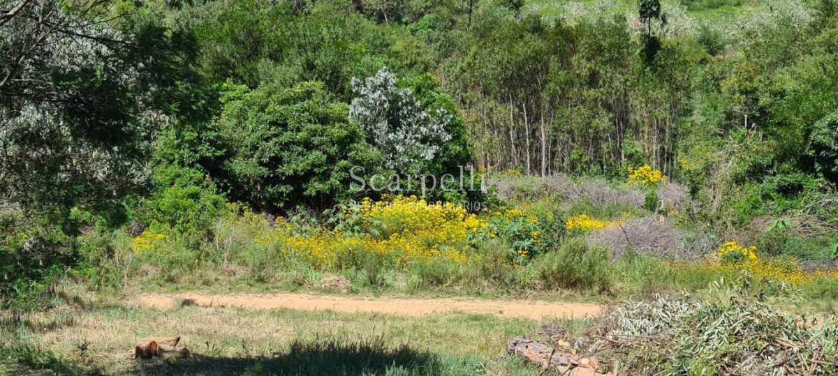 Terreno ID.34580 - VENTA TERRENO MALDONADO PUNTA BALLENA