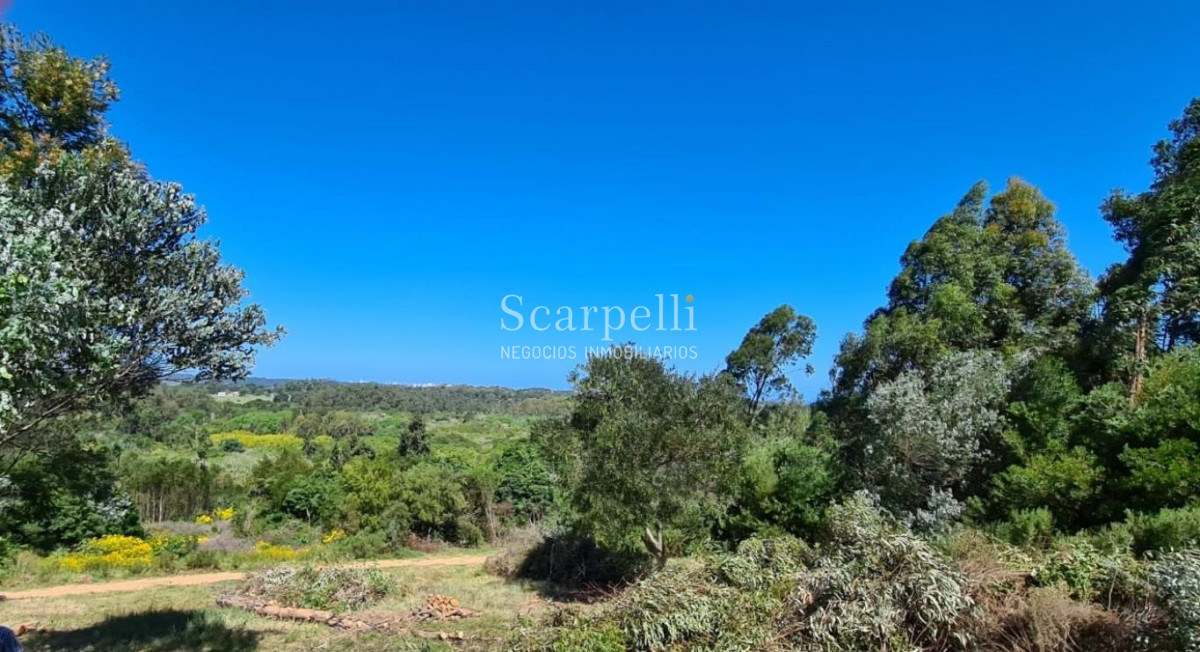 Terreno ID.34580 - VENTA TERRENO MALDONADO PUNTA BALLENA