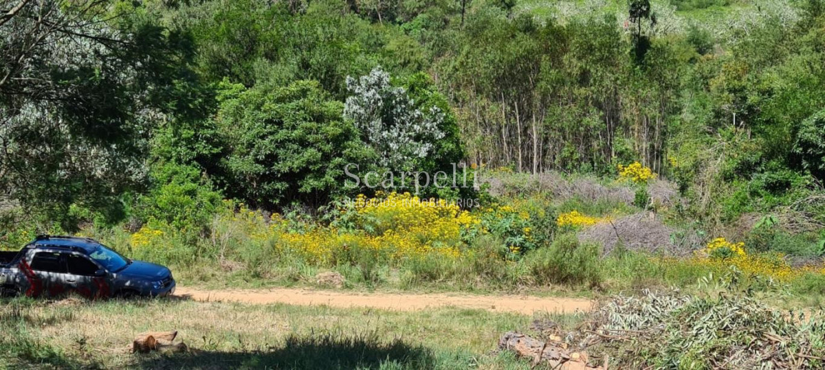 Terreno ID.34580 - VENTA TERRENO MALDONADO PUNTA BALLENA