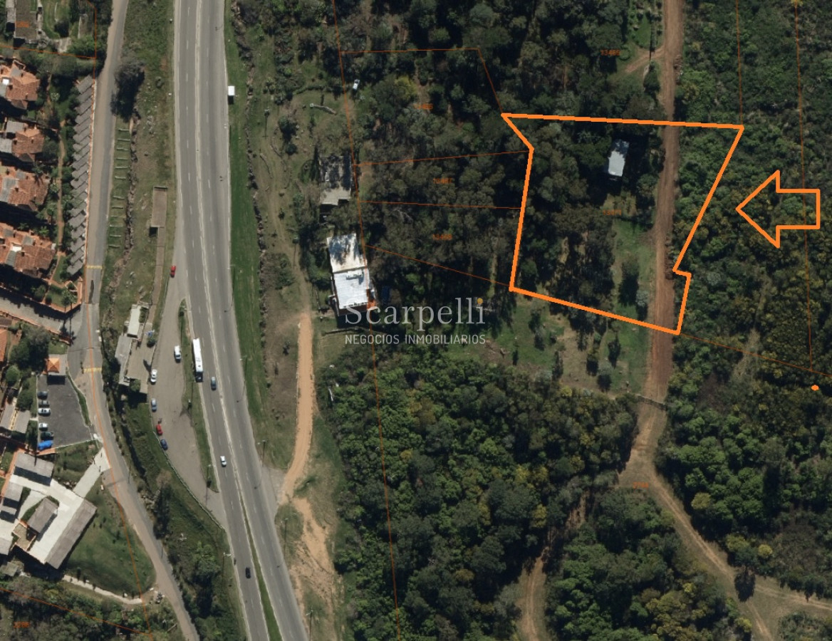 Terreno ID.34580 - VENTA TERRENO MALDONADO PUNTA BALLENA