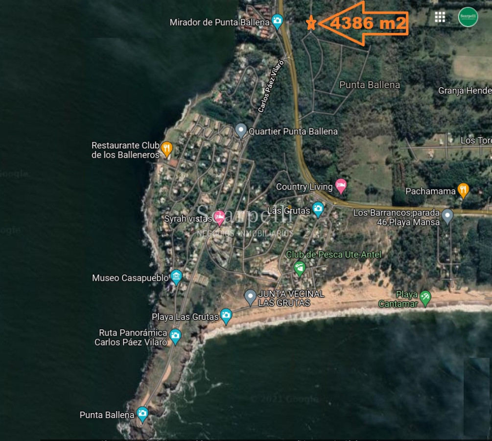 Terreno ID.34580 - VENTA TERRENO MALDONADO PUNTA BALLENA