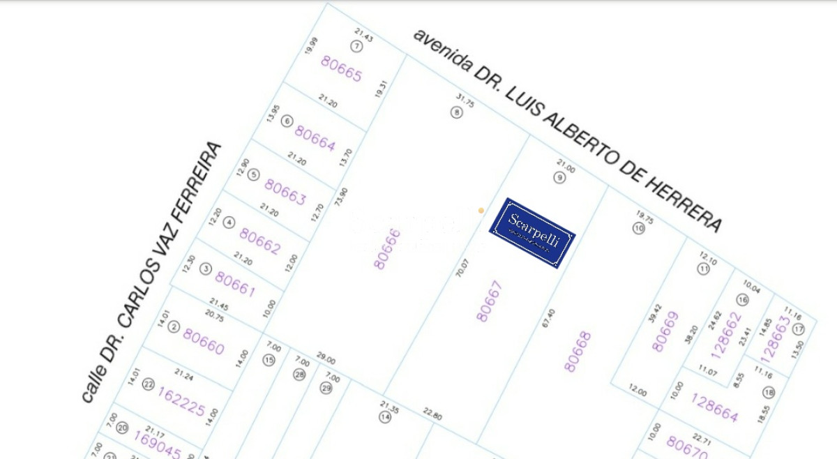 Terreno ID.36264 - Prado: Venta Importante Residencia con gran Terreno sobre Luis Alberto de Herrera muy proximo a Av. Burgues y Av. Millán.-