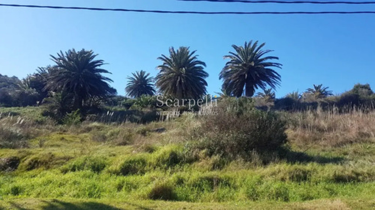 Terreno ID.50698 - Venta Terreno 25.000 M² Cerro San Antonio, Piriápolis