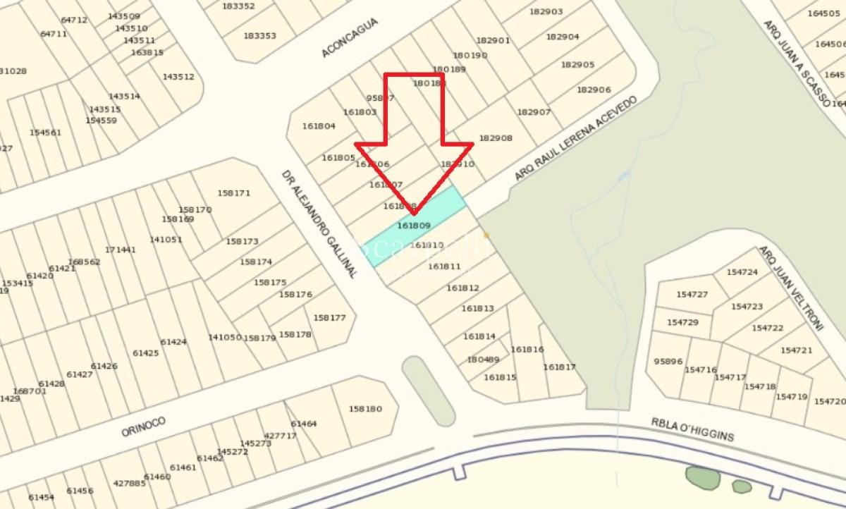 Terreno ID.40060 - Venta Terreno con altura a mts de la Rambla de Punta Gorda y Malvin .-