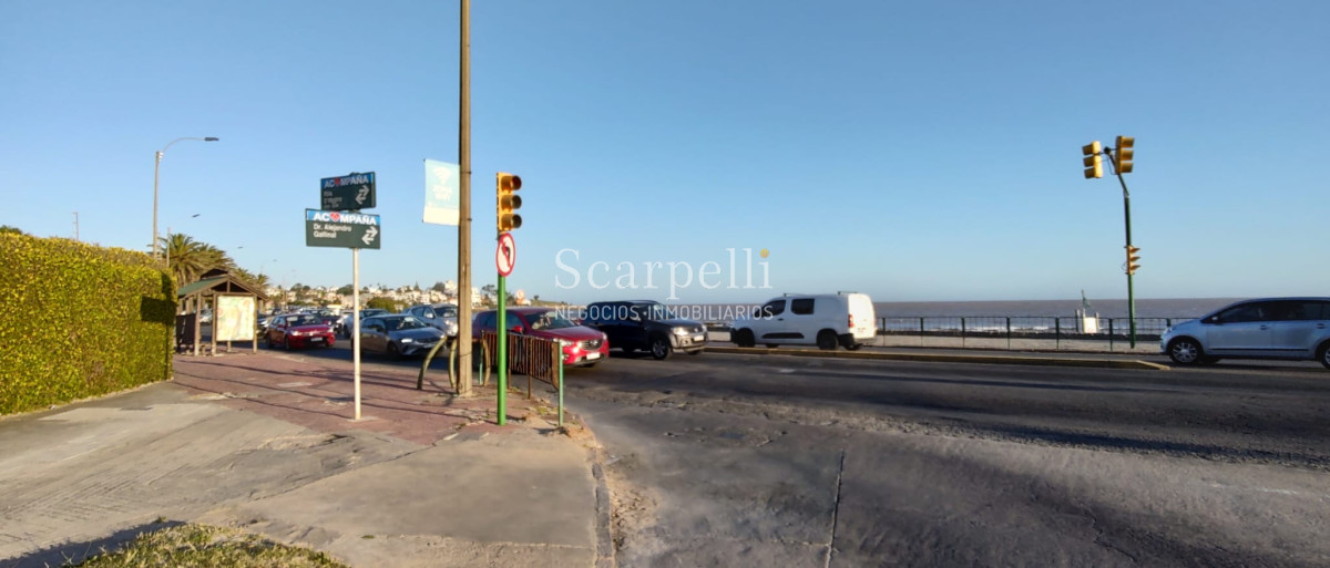 Terreno ID.40060 - Venta Terreno con altura a mts de la Rambla de Punta Gorda y Malvin .-