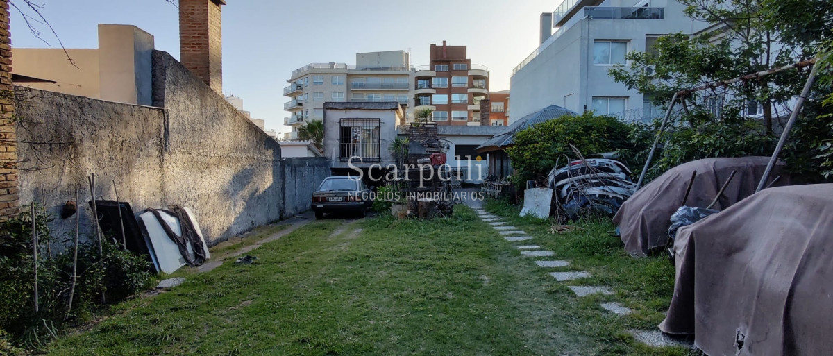 Terreno ID.40060 - Venta Terreno con altura a mts de la Rambla de Punta Gorda y Malvin .-