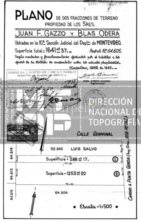 Terreno ID.40097 - Venta 2 Padrones juntos con Altura Centro Comercial Punta Gorda Próximo y Colegio Santa Rita.-
