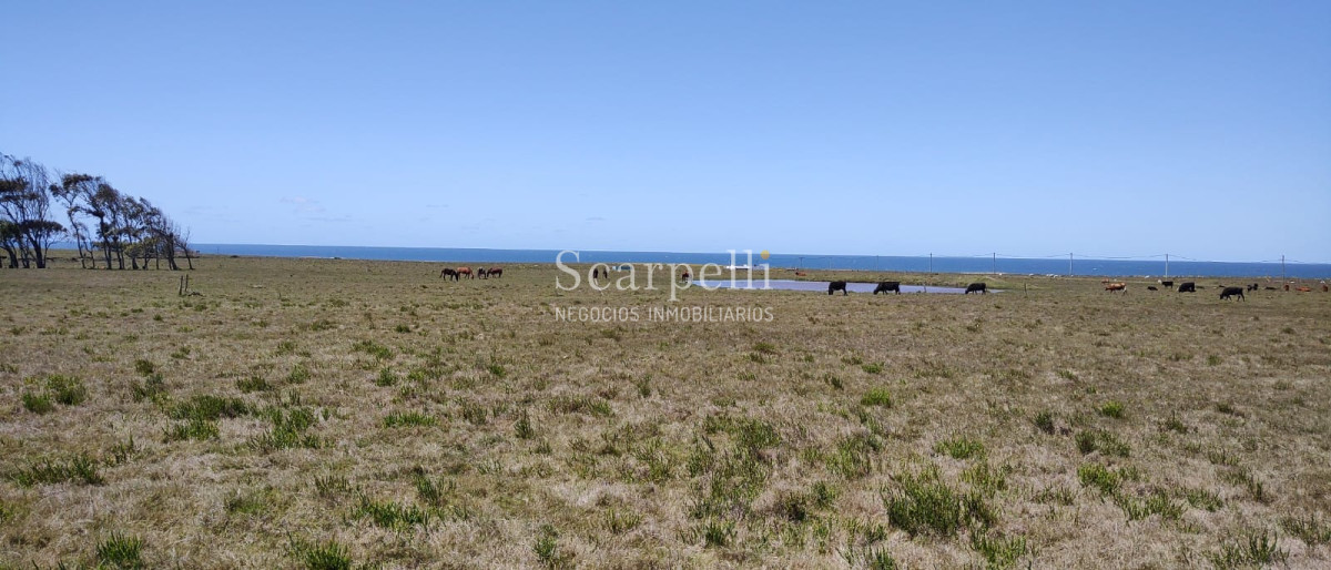 Terreno ID.40273 - VENTA DE 22 SOLARES EN PUEBLO NUEVO PRÓXIMO CABO POLONIO FRENTE AL OCÉANO ROCHENSE