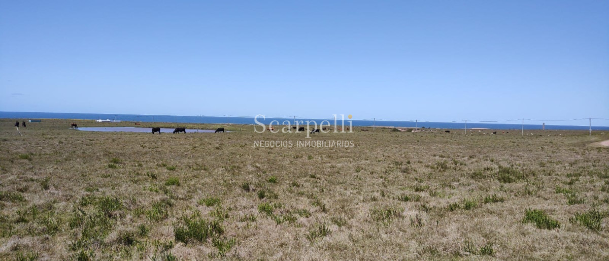 Terreno ID.40273 - VENTA DE 22 SOLARES EN PUEBLO NUEVO PRÓXIMO CABO POLONIO FRENTE AL OCÉANO ROCHENSE