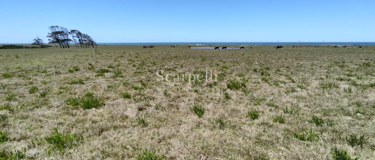 Terreno ID.40273 - VENTA DE 22 SOLARES EN PUEBLO NUEVO PRÓXIMO CABO POLONIO FRENTE AL OCÉANO ROCHENSE