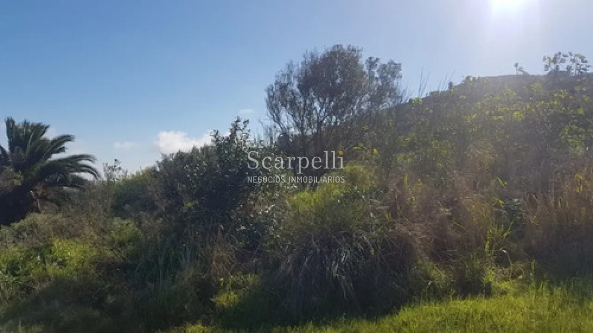 Terreno ID.50698 - Venta Terreno 25.000 M² Cerro San Antonio, Piriápolis
