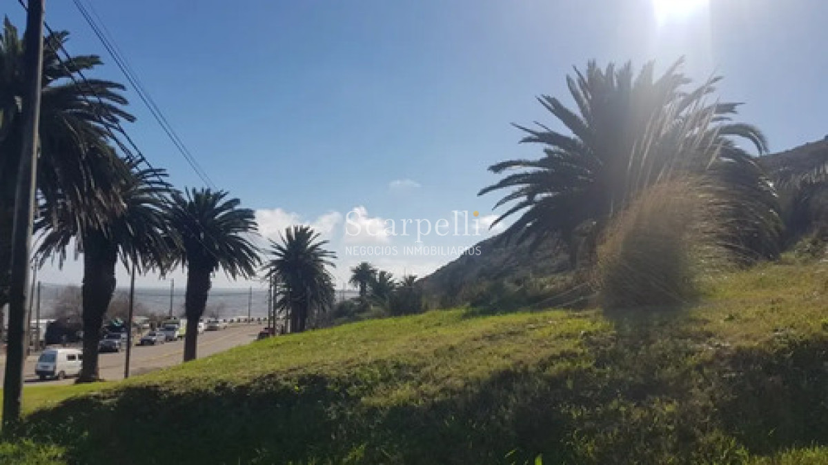 Terreno ID.50698 - Venta Terreno 25.000 M² Cerro San Antonio, Piriápolis