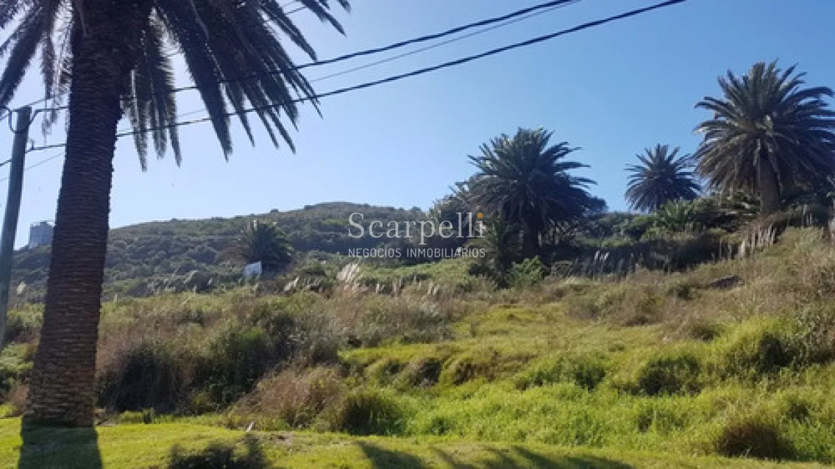 Terreno ID.50698 - Venta Terreno 25.000 M² Cerro San Antonio, Piriápolis