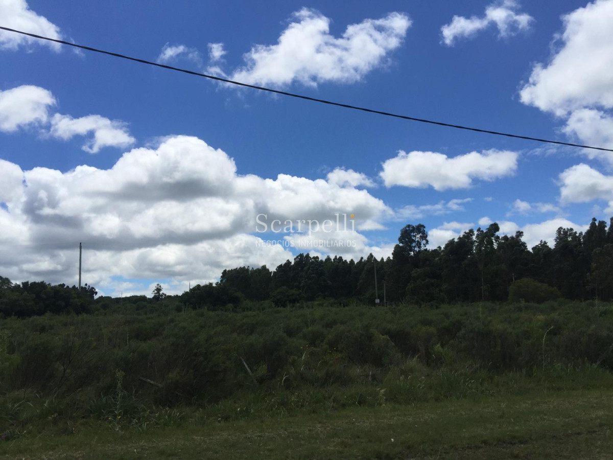 Terreno ID.8149 - 3 hás Sobre Ruta Interbalnearia con importante frente prox. Piriápolis