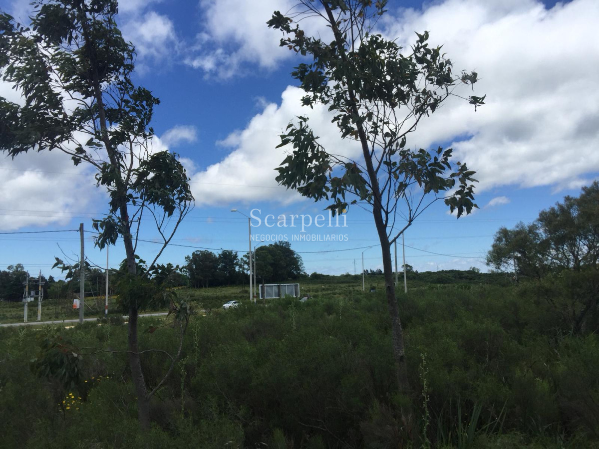 Terreno ID.8149 - 3 hás Sobre Ruta Interbalnearia con importante frente prox. Piriápolis
