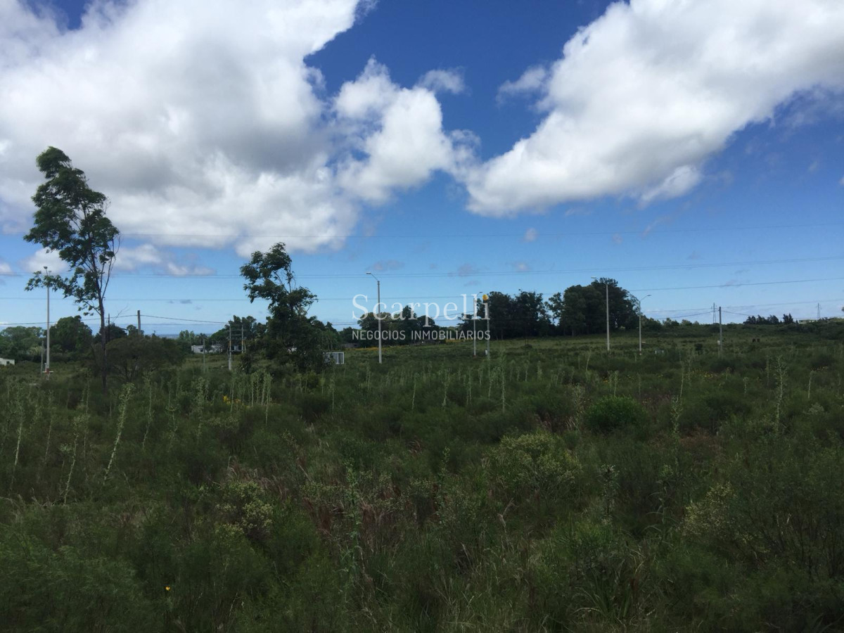 Terreno ID.8149 - 3 hás Sobre Ruta Interbalnearia con importante frente prox. Piriápolis