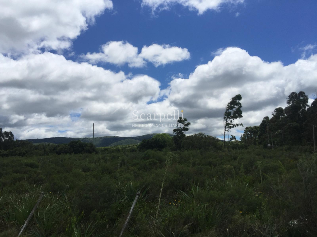 Terreno ID.8149 - 3 hás Sobre Ruta Interbalnearia con importante frente prox. Piriápolis