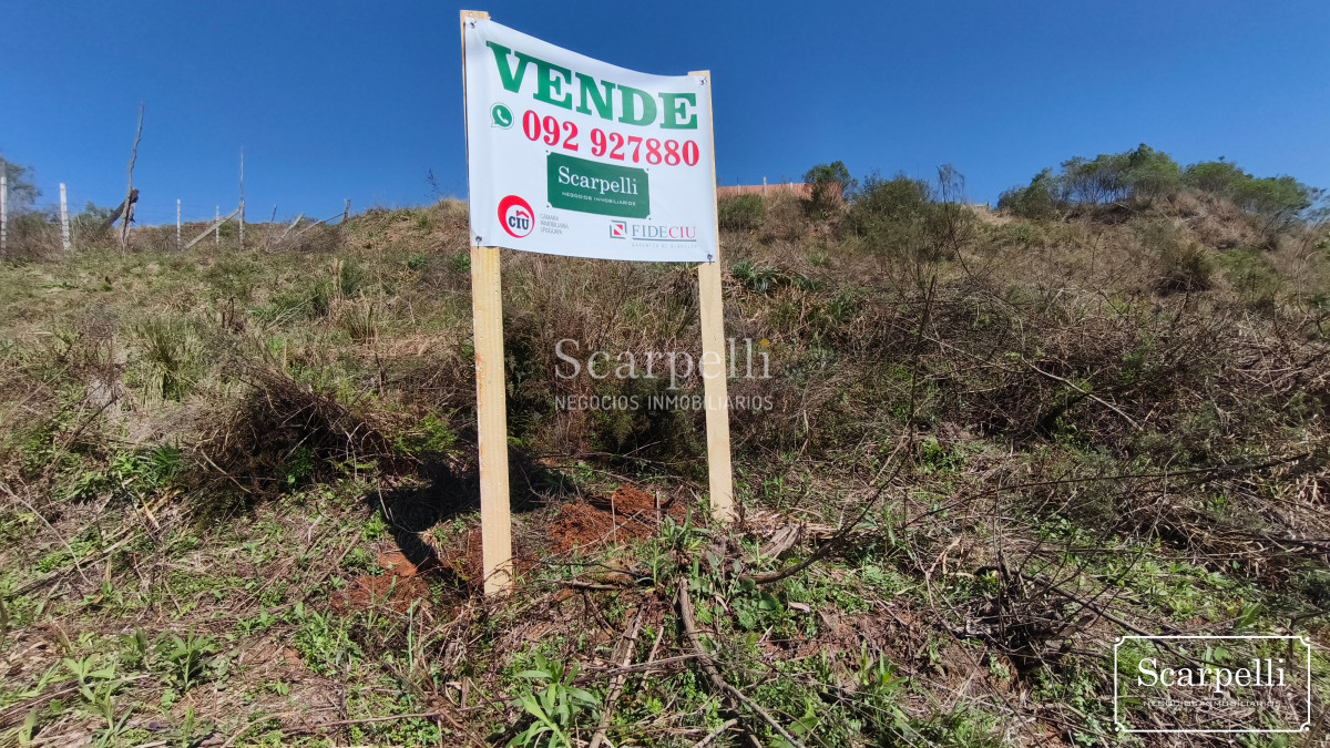 Terreno ID.50475 - Terreno frente a calle Presidente Giró