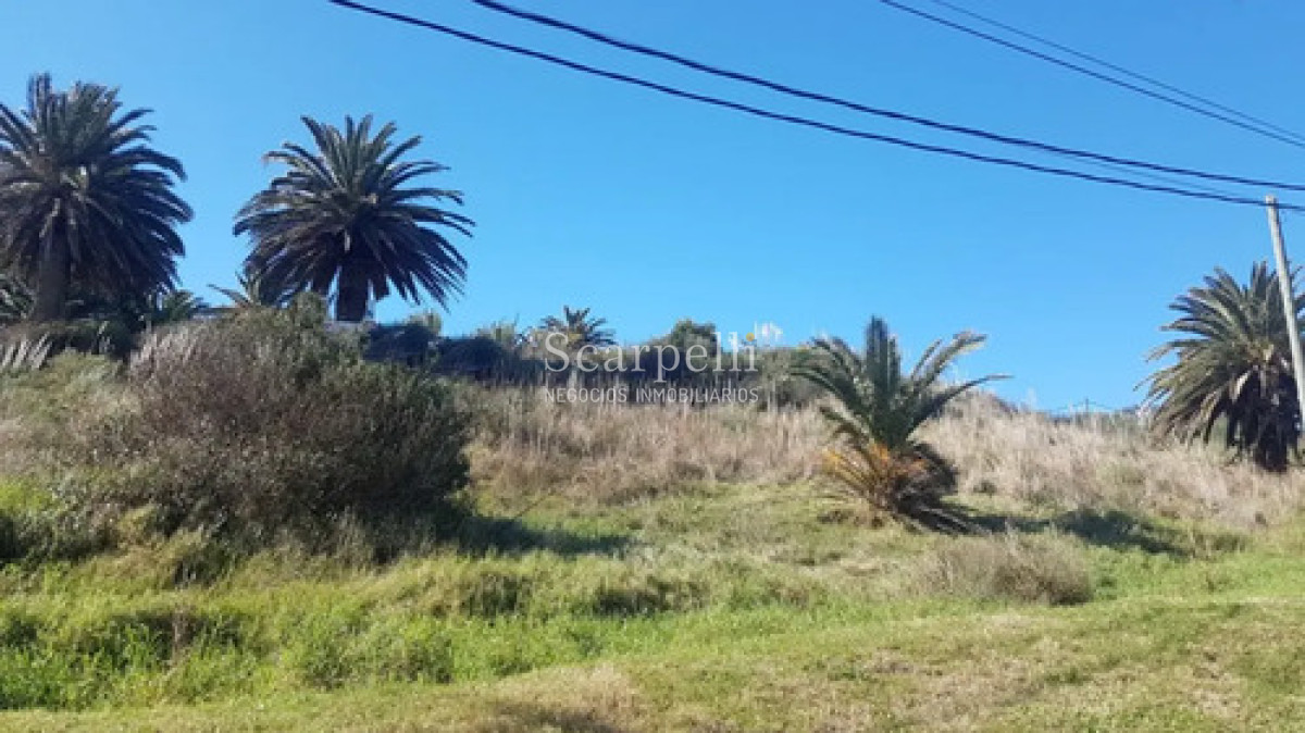Terreno ID.50698 - Venta Terreno 25.000 M² Cerro San Antonio, Piriápolis
