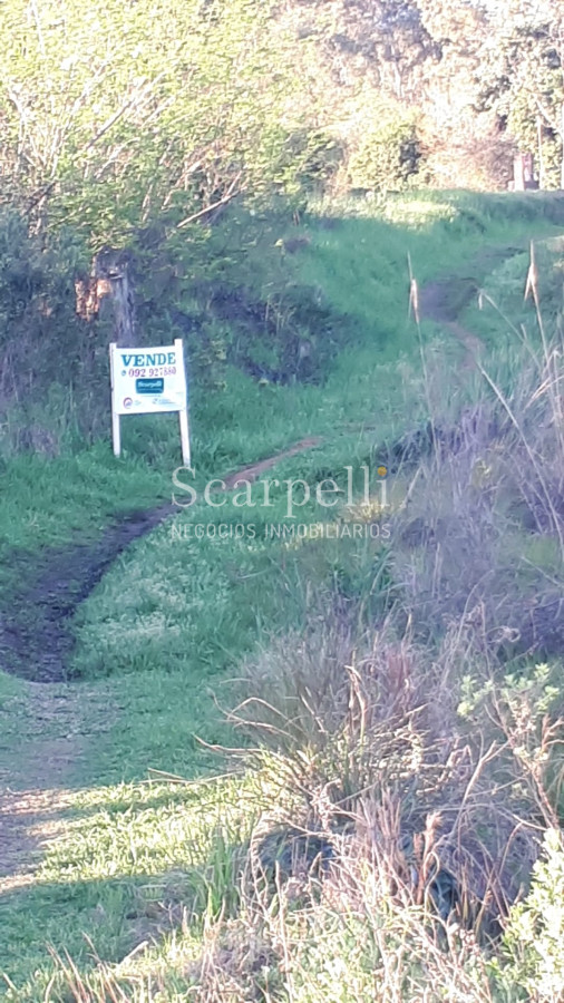 Terreno ID.50485 - Venta Gran Lote Terreno con frente calle Altivo Esteves proximo Shopping Siñeriz 