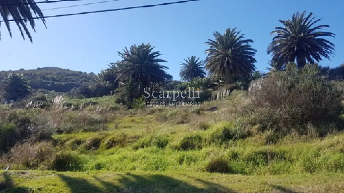 Terreno ID.50698 - Venta Terreno 25.000 M² Cerro San Antonio, Piriápolis