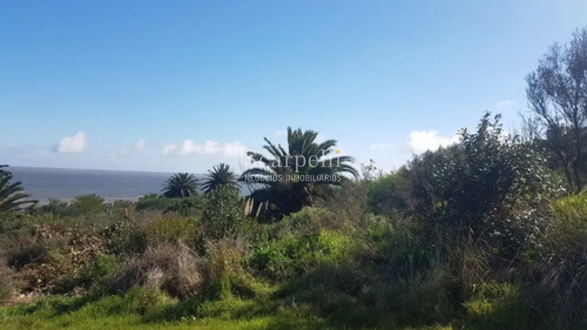 Terreno ID.50698 - Venta Terreno 25.000 M² Cerro San Antonio, Piriápolis